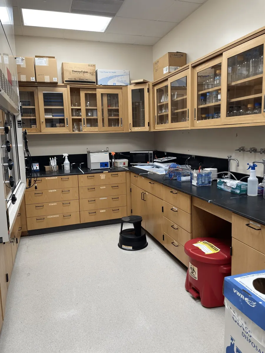 Another corner of the lab: a fume hood, benches holding a microcentrifuge and gel equipment, and cabinets stocked with clean glassware