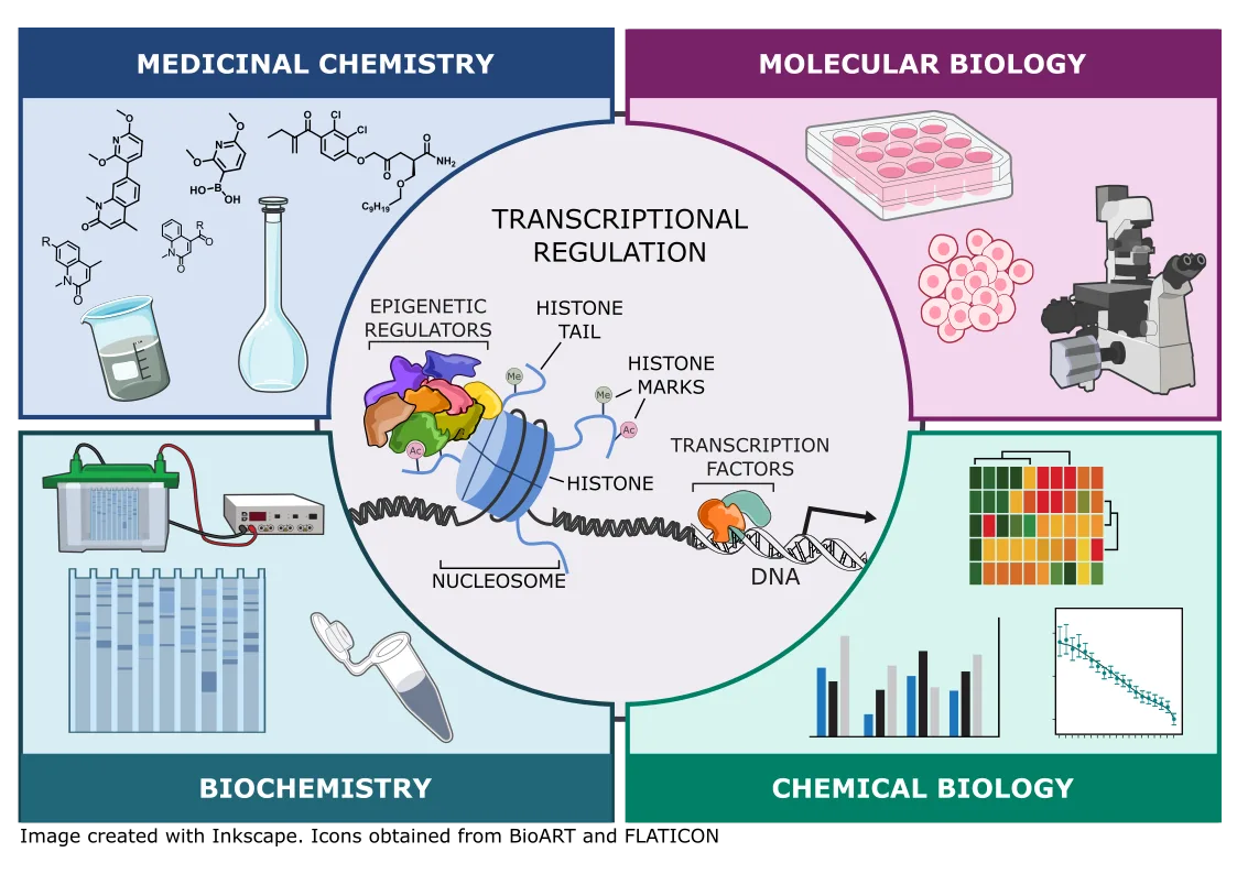 The four fields the lab works across — medicinal chemistry, molecular biology, biochemistry and chemical biology — around a diagram of transcriptional regulation: epigenetic regulators, histone marks, the nucleosome, and transcription factors on DNA